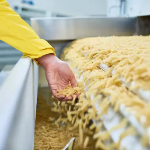 The Critical Role of Extrusion in the Production of Macaroni