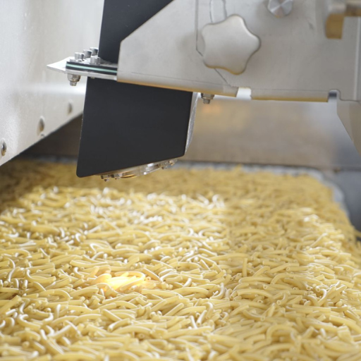 pasta processing equipment