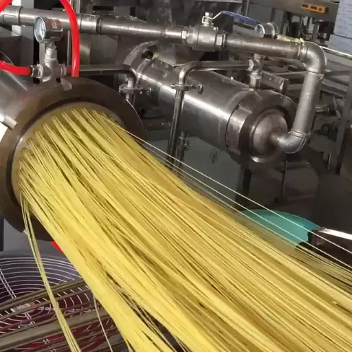 How to Maintain and Optimize a Long Cut Pasta Production Line?