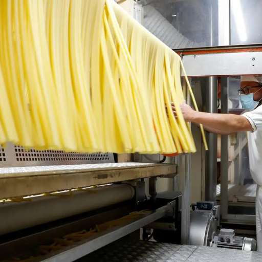 What is a Long Cut Pasta Production Line?