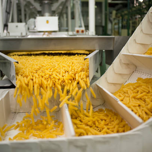 fresh pasta production line
