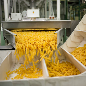 Macaroni Production Line